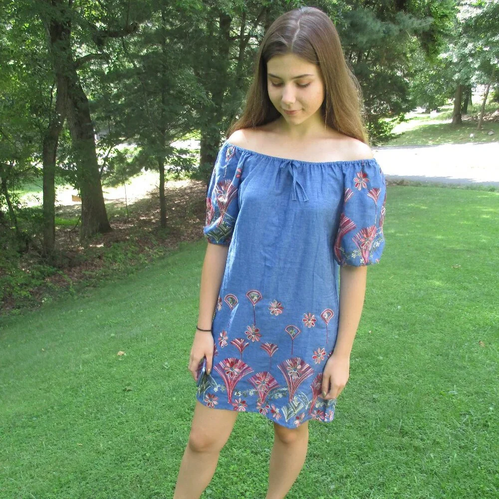 sz 7/8 Hayden LA Girls‎ Dress Chambray Embroidered NWT